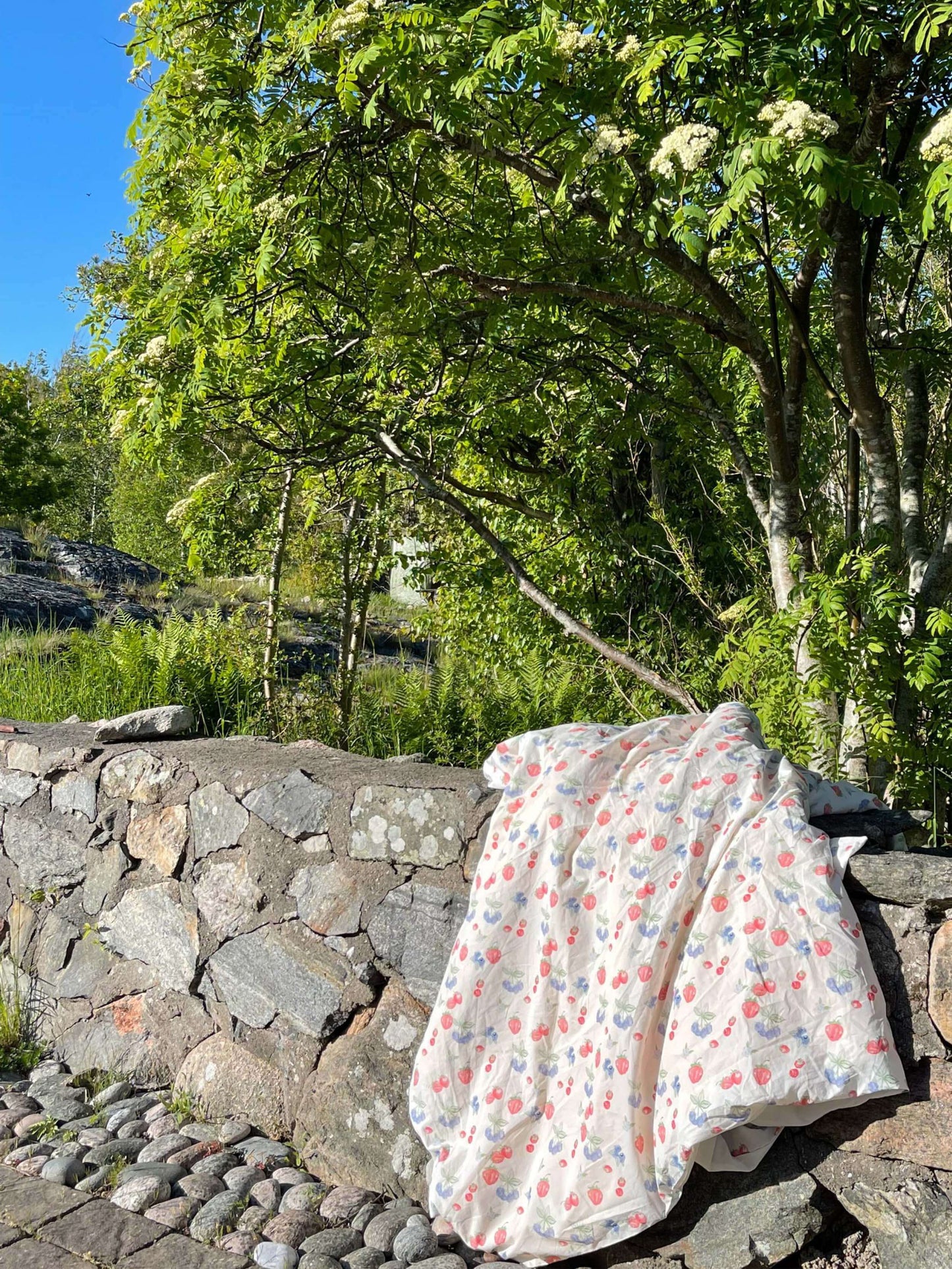 Blueberry Strawberry Duvet Cover Set