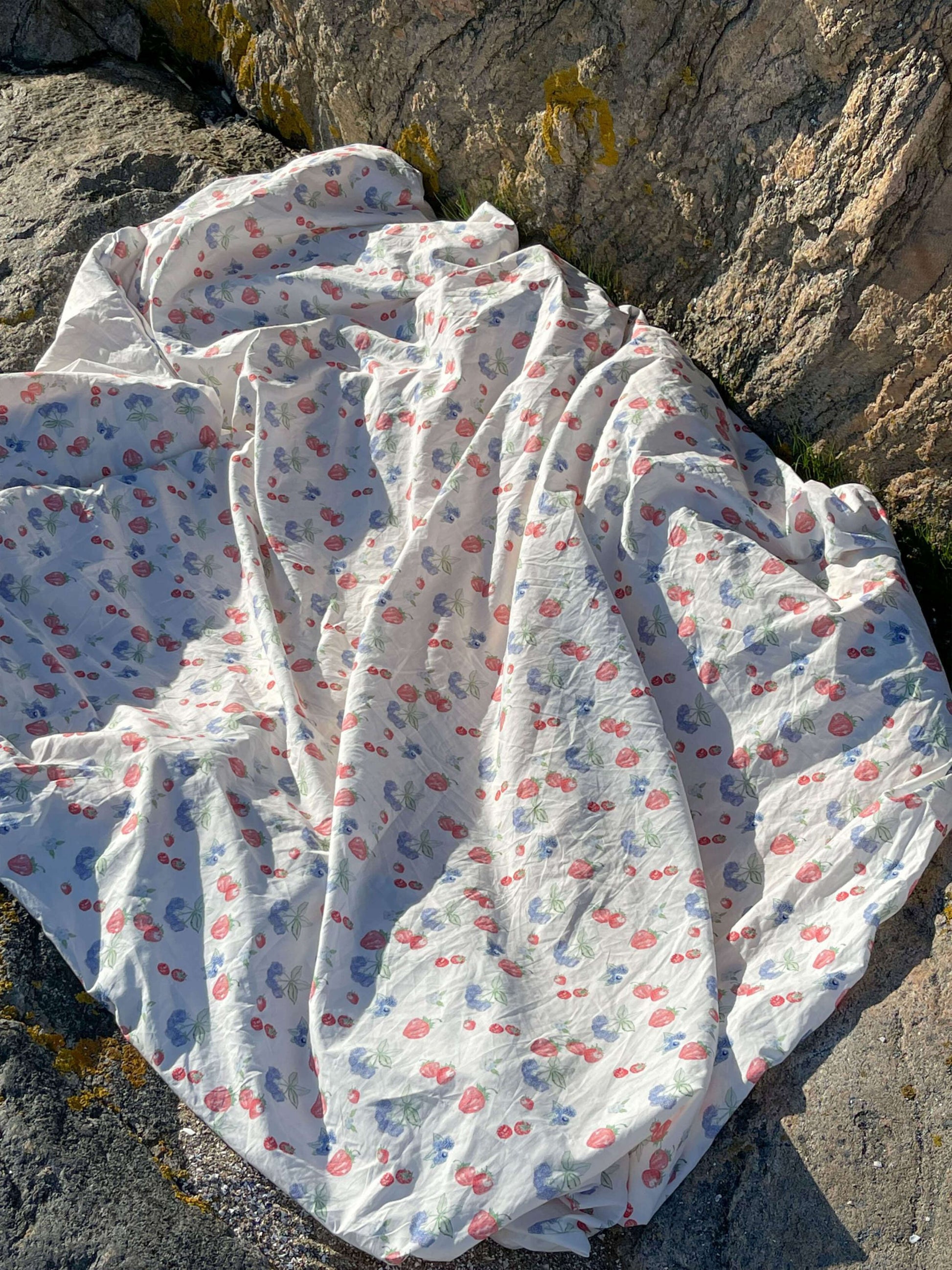 Blueberry Strawberry Duvet Cover Set