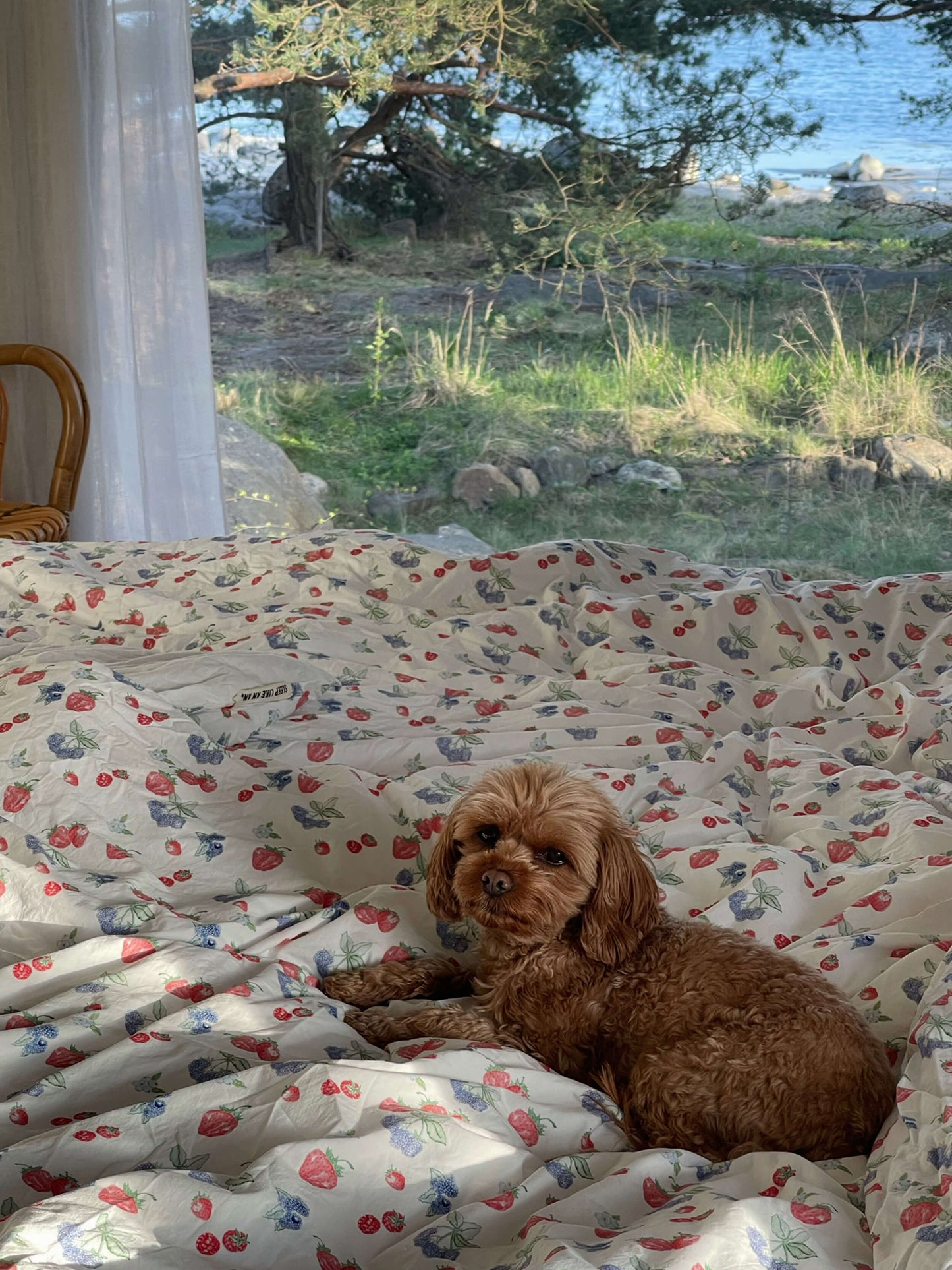 Blueberry Strawberry Duvet Cover Set