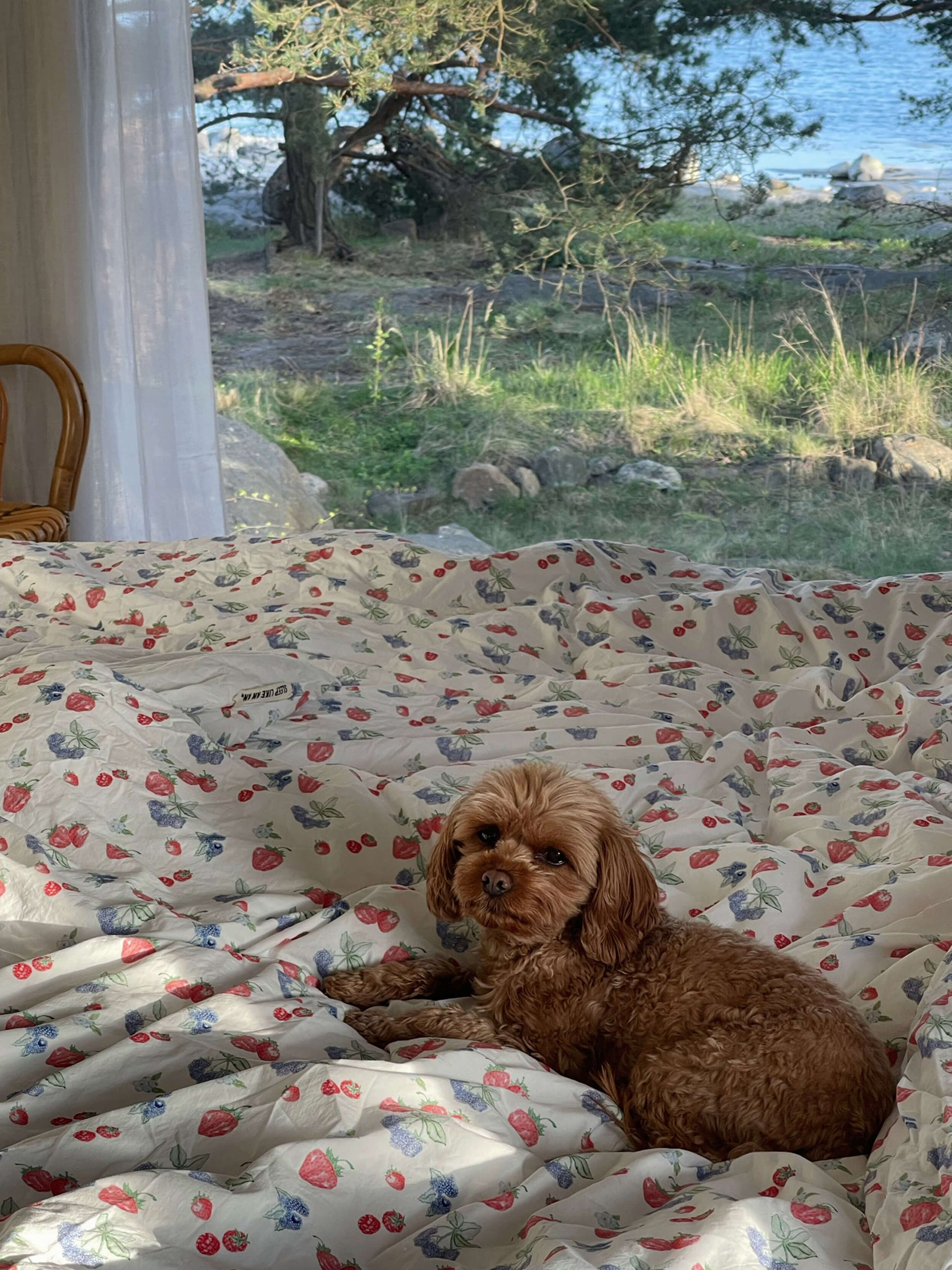 Blueberry Strawberry Duvet Cover Set