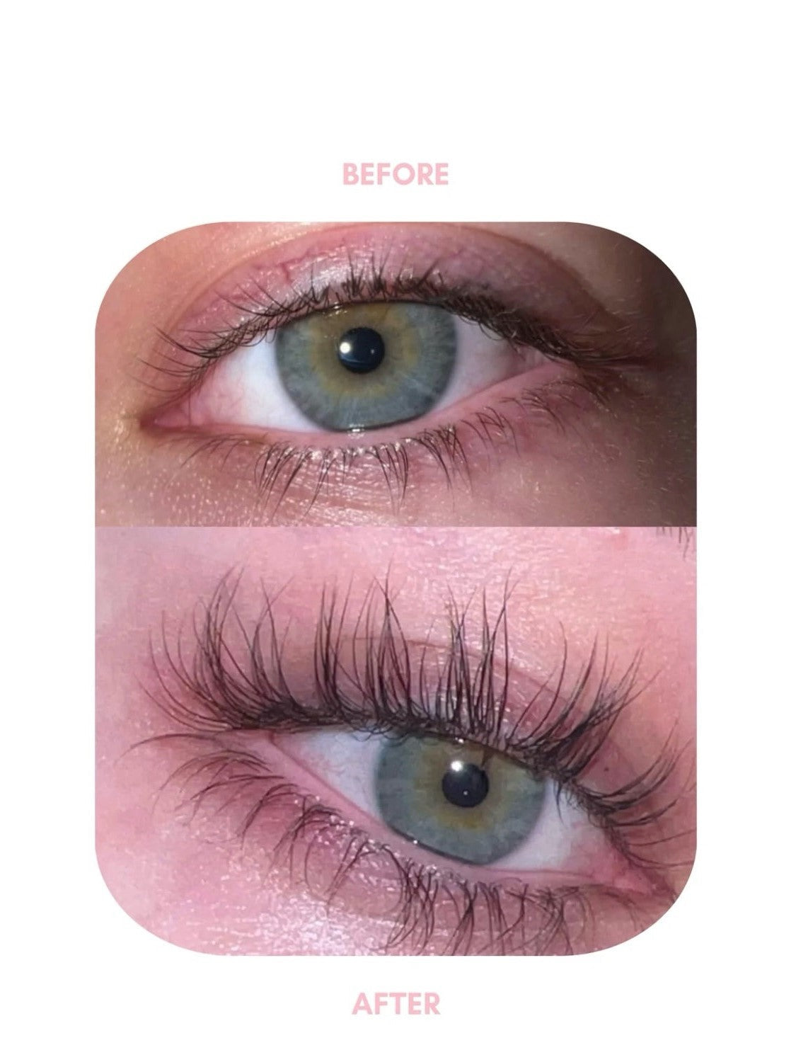 Eyelash Growth Serum