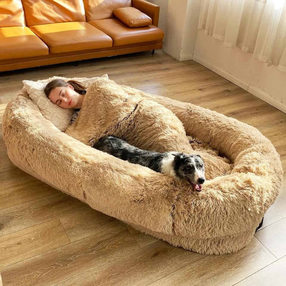 Human Dog Bed - Luxandluxy