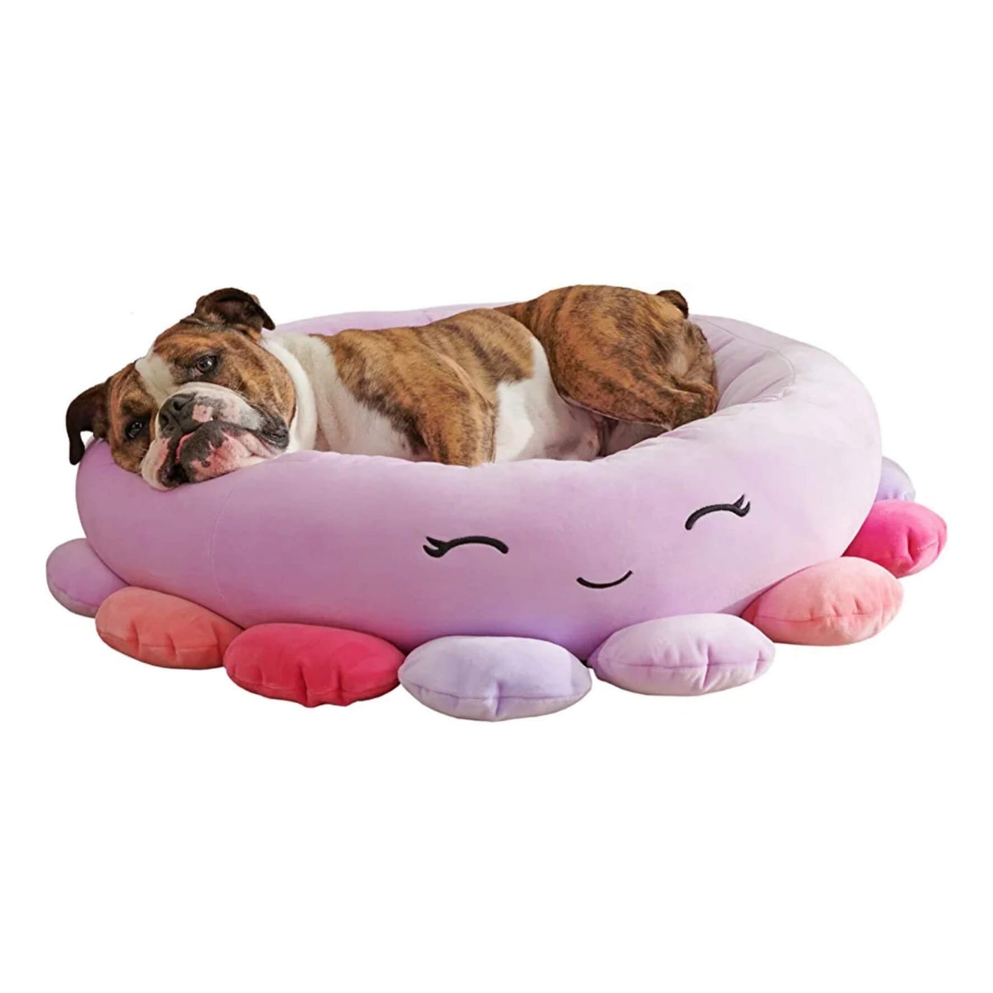 Cat & Dog Squishmallows Bed - Luxandluxy