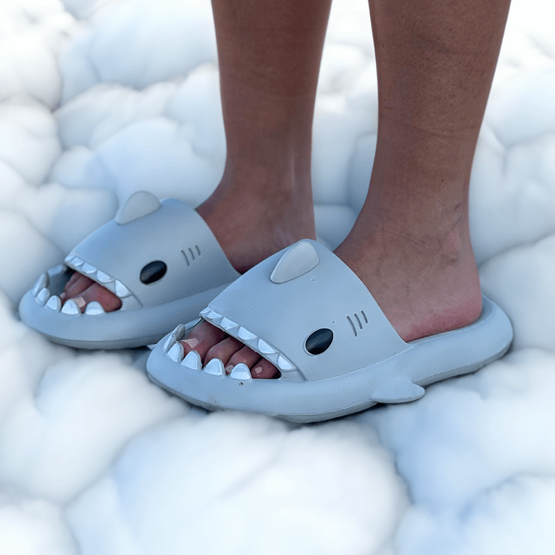 Shark Slides