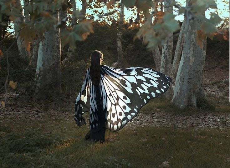 Butterfly Wings Cape Costume-Luxandluxy