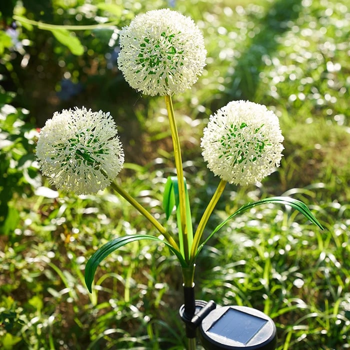 Dandelion Solar Light-Luxandluxy