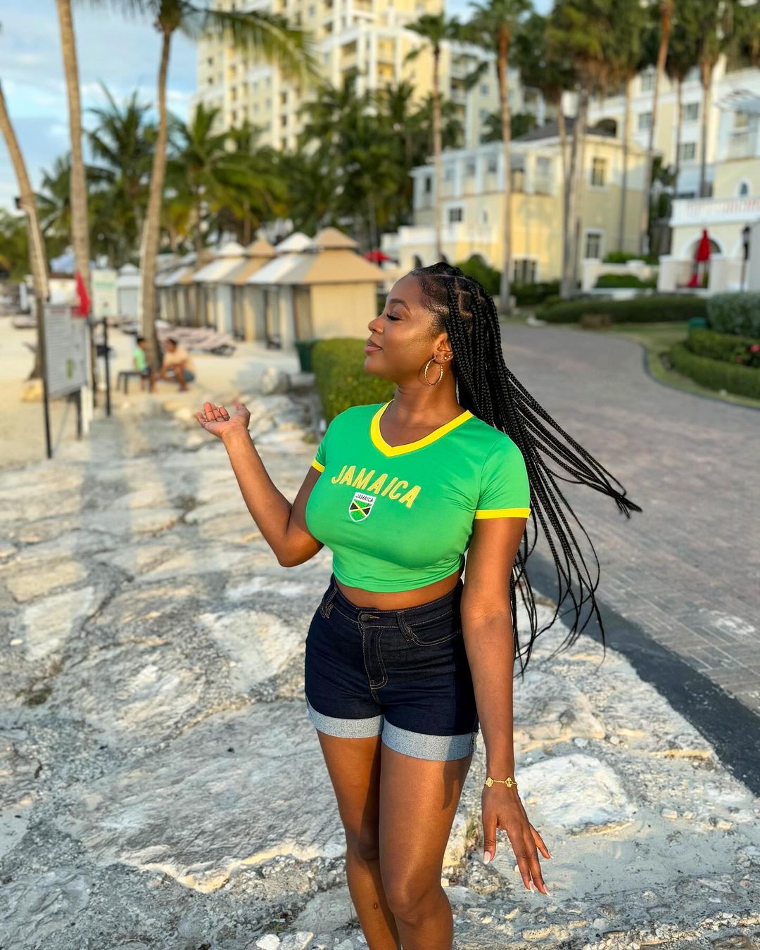 'Jamaica' V-Neck Crop Top-Luxandluxy