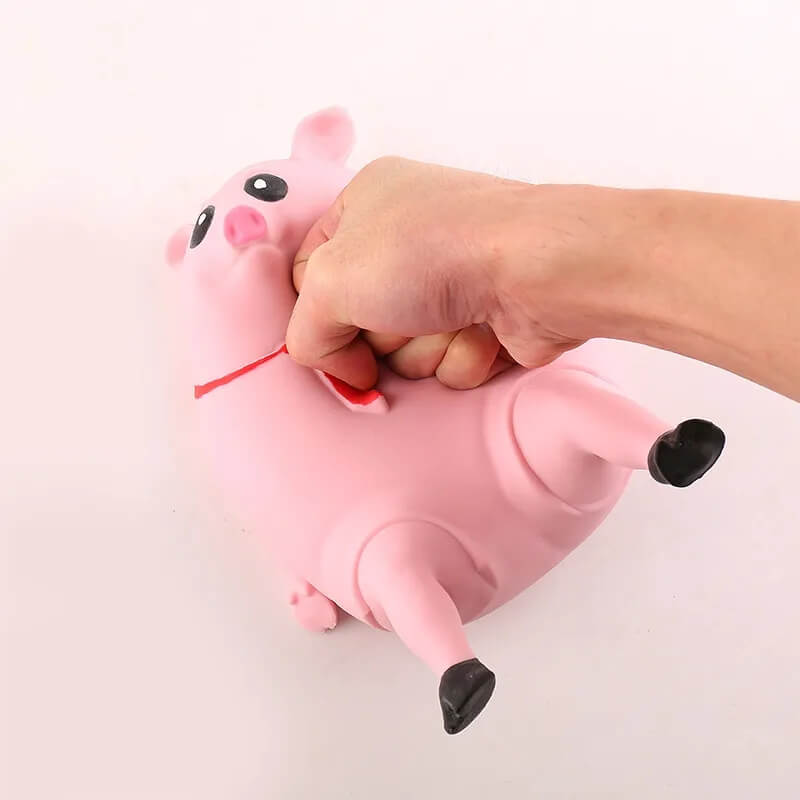 Piggy Splash Toy-Luxandluxy