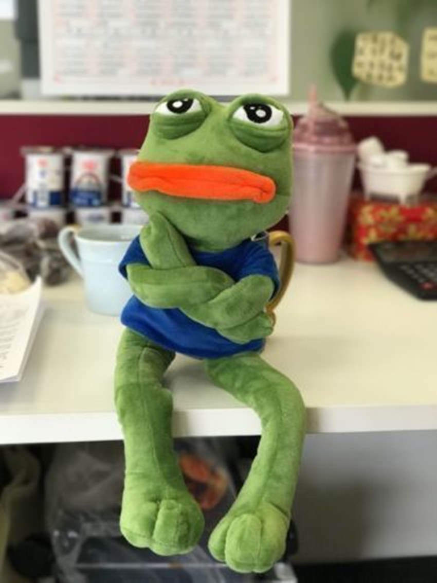 Sad Pepe Frog Plush-Luxandluxy