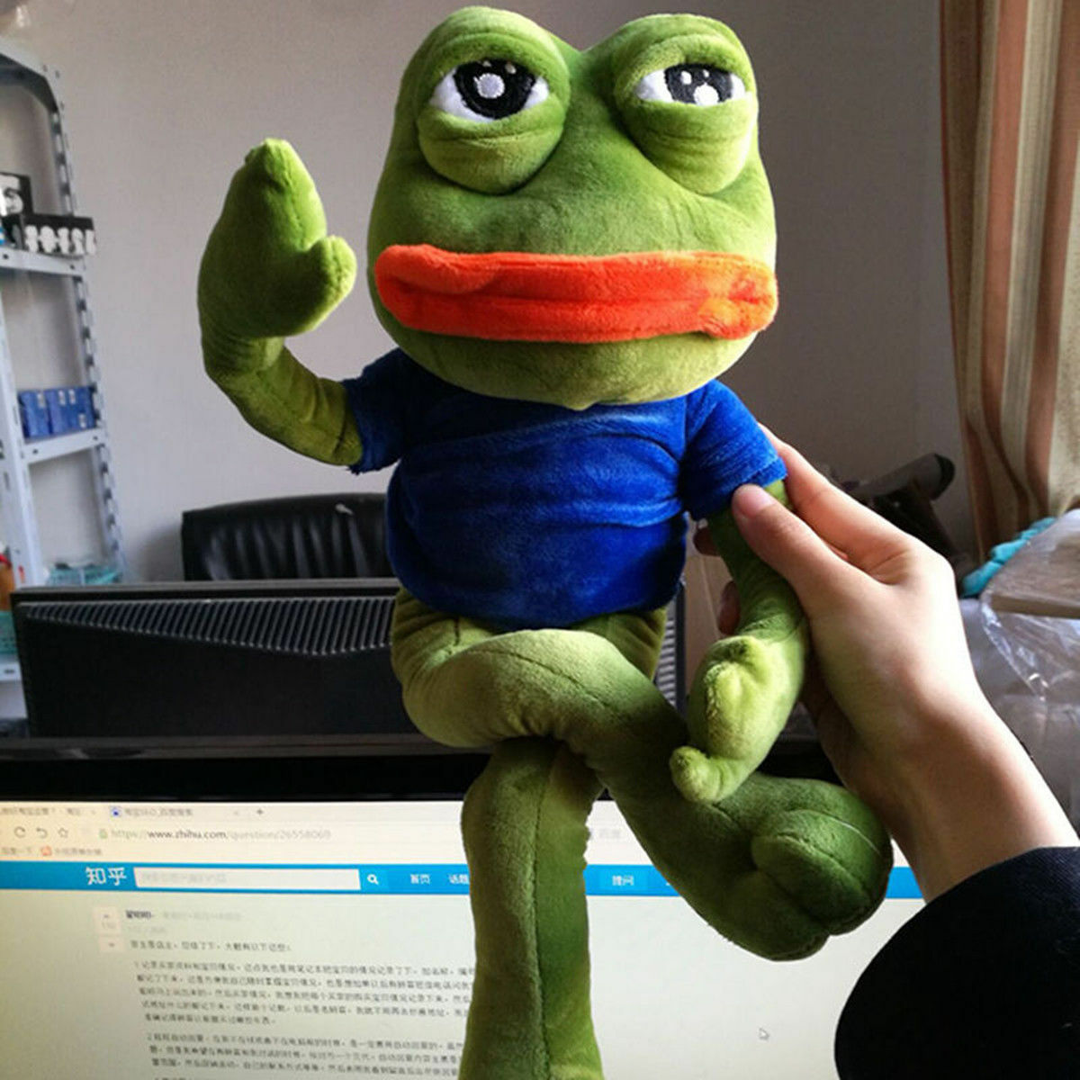 Sad Pepe Frog Plush-Luxandluxy